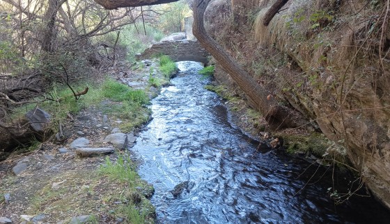 Acequia de Alcázar Acequia de Alcázar