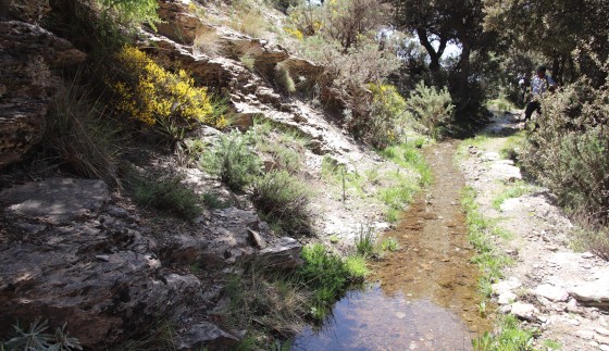 Acequias de Paulo y el Coto, Pórtugos