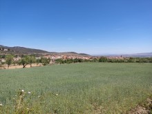 Vega de Jérez del Marquesado
