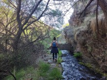 Acequia de Alcázar