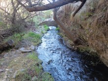 Acequia de Alcázar 